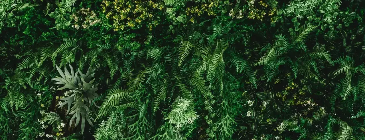 Dense green plant wall with ferns and yellow blooms